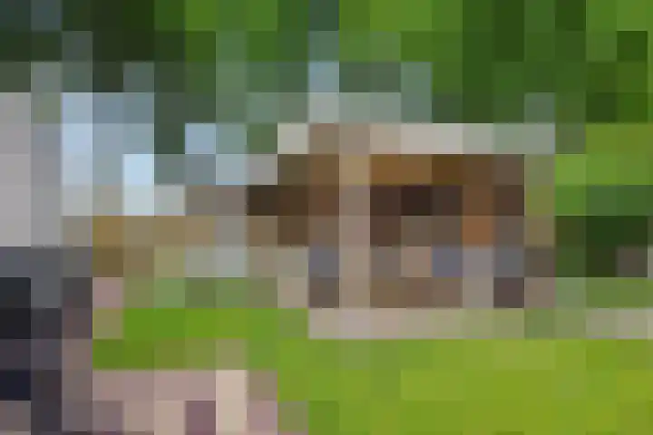 Bunzinghage 1 Berlicum thumbnail 20