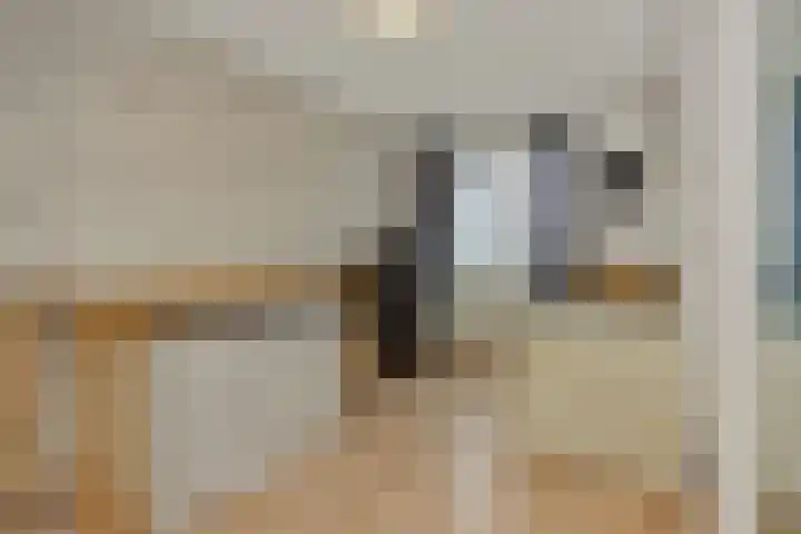 Bunzinghage 1 Berlicum thumbnail 26