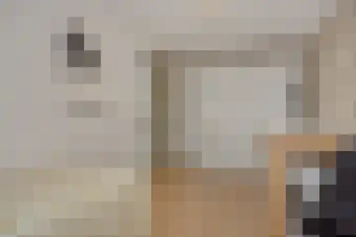 Bunzinghage 1 Berlicum thumbnail 27