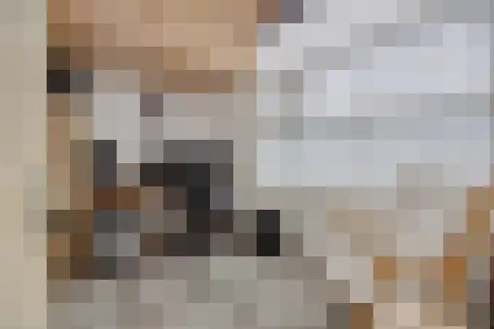 Bunzinghage 1 Berlicum thumbnail 30