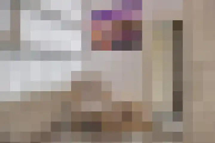 Bunzinghage 1 Berlicum thumbnail 31