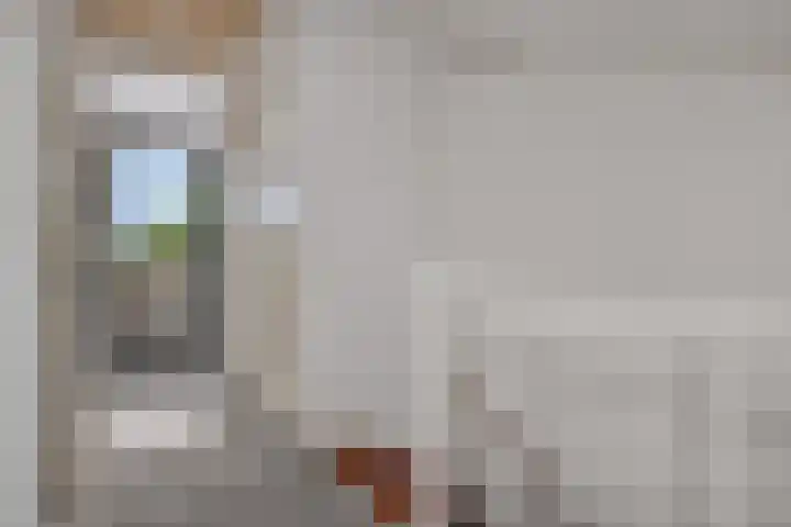 Bunzinghage 1 Berlicum thumbnail 32