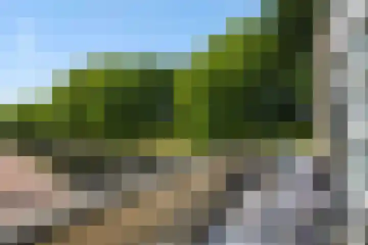 Bunzinghage 1 Berlicum thumbnail 34