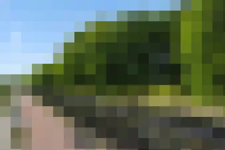 Bunzinghage 1 Berlicum thumbnail 35