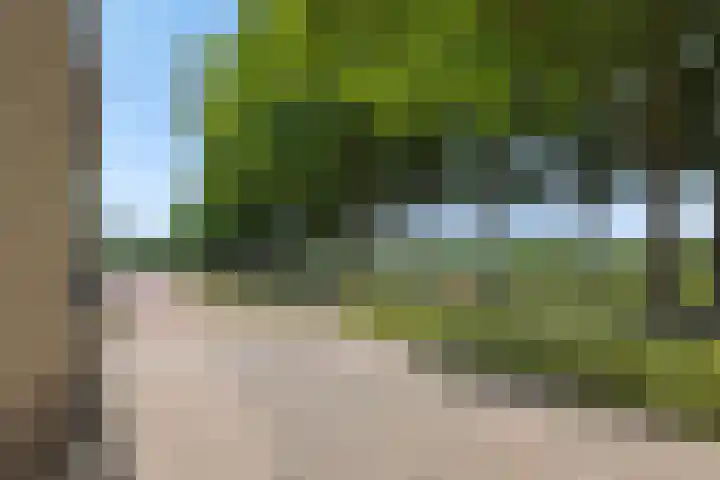Bunzinghage 1 Berlicum thumbnail 37