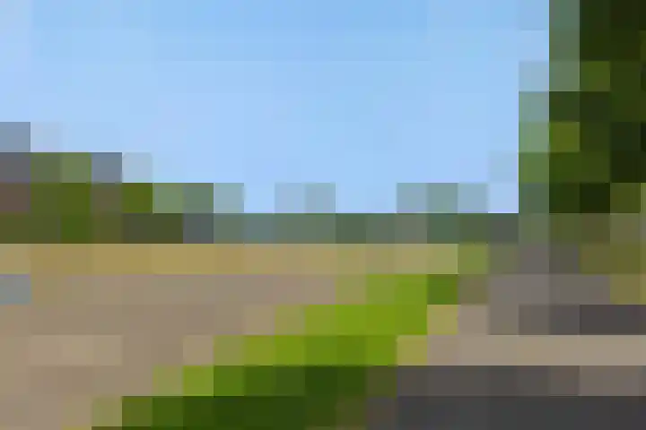 Bunzinghage 1 Berlicum thumbnail 38