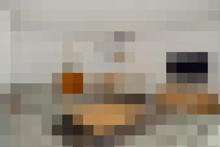 Bunzinghage 1 Berlicum thumbnail 4