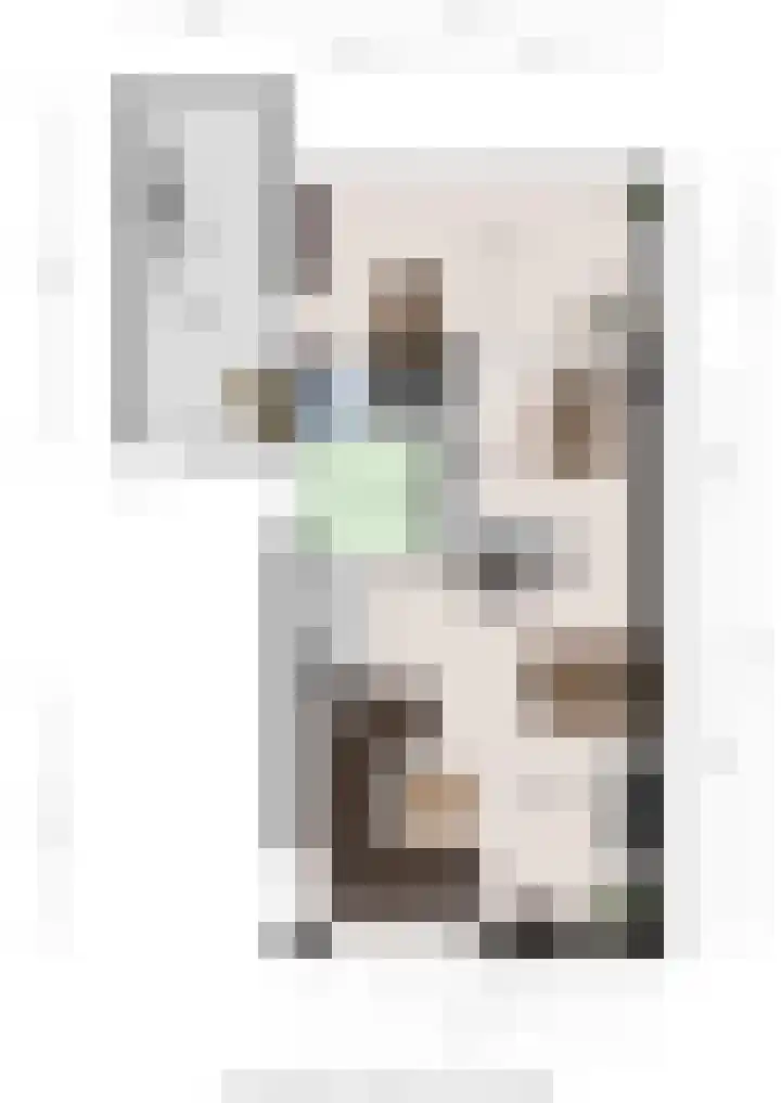 Bunzinghage 1 Berlicum thumbnail 40