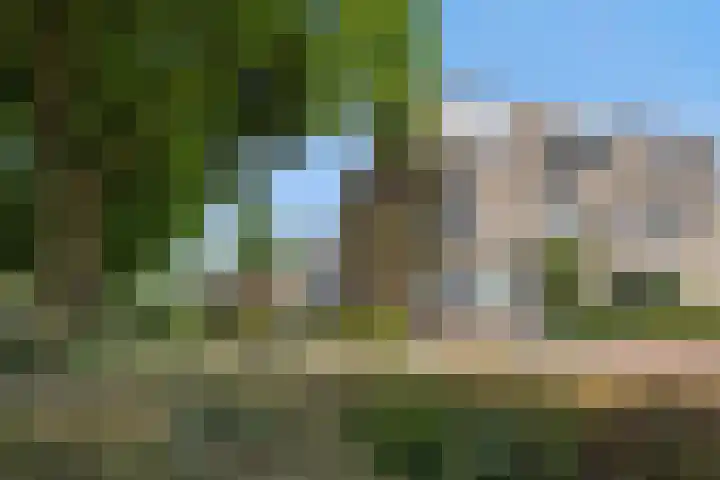 Bunzinghage 1 Berlicum thumbnail 5