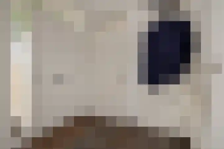 Bunzinghage 1 Berlicum thumbnail 7