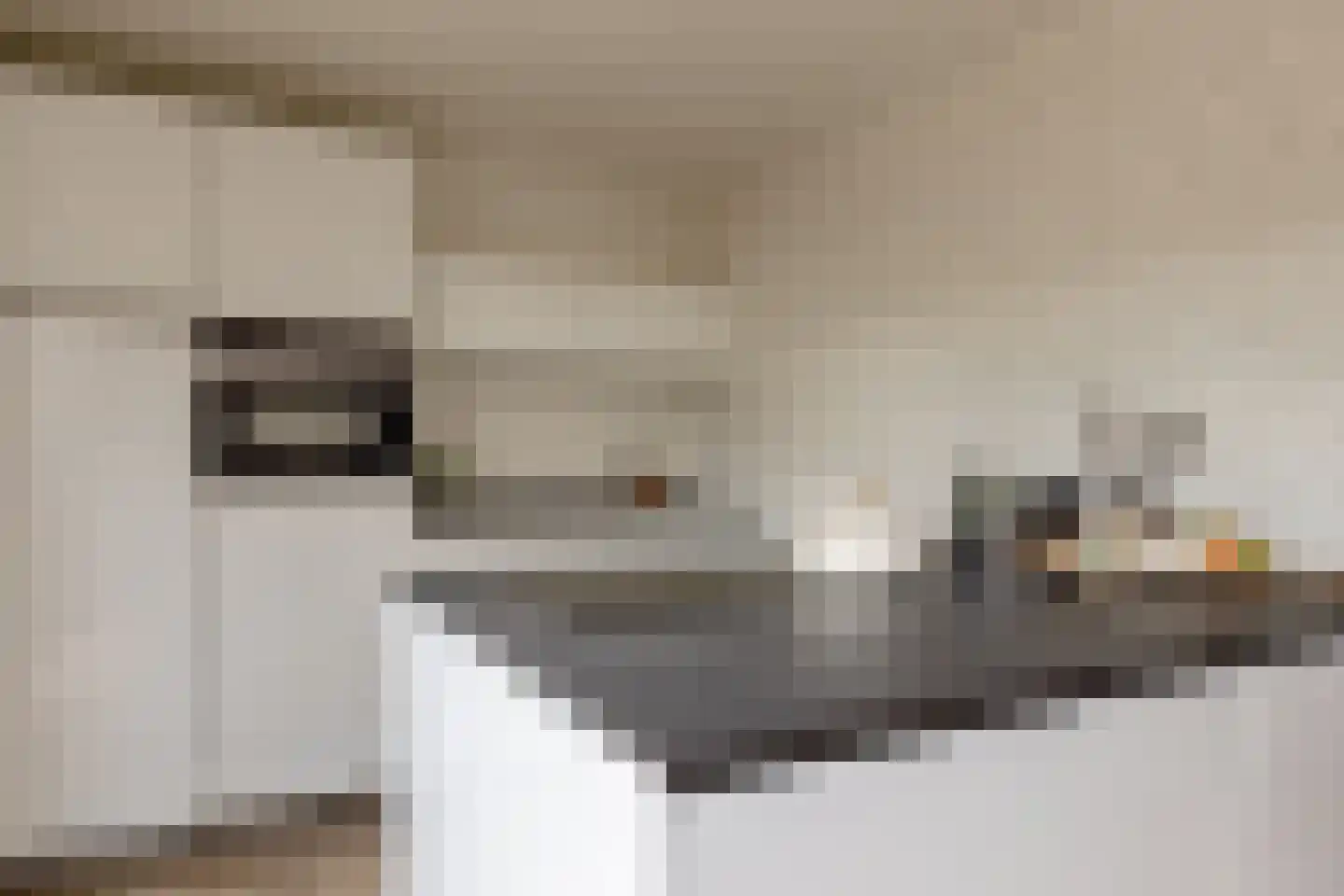 Bunzinghage 47 Berlicum thumbnail 15