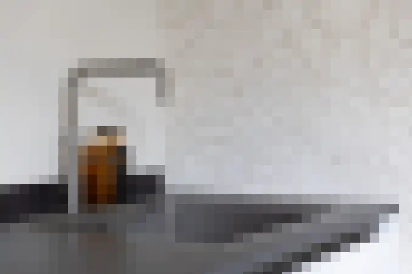 Bunzinghage 47 Berlicum thumbnail 18