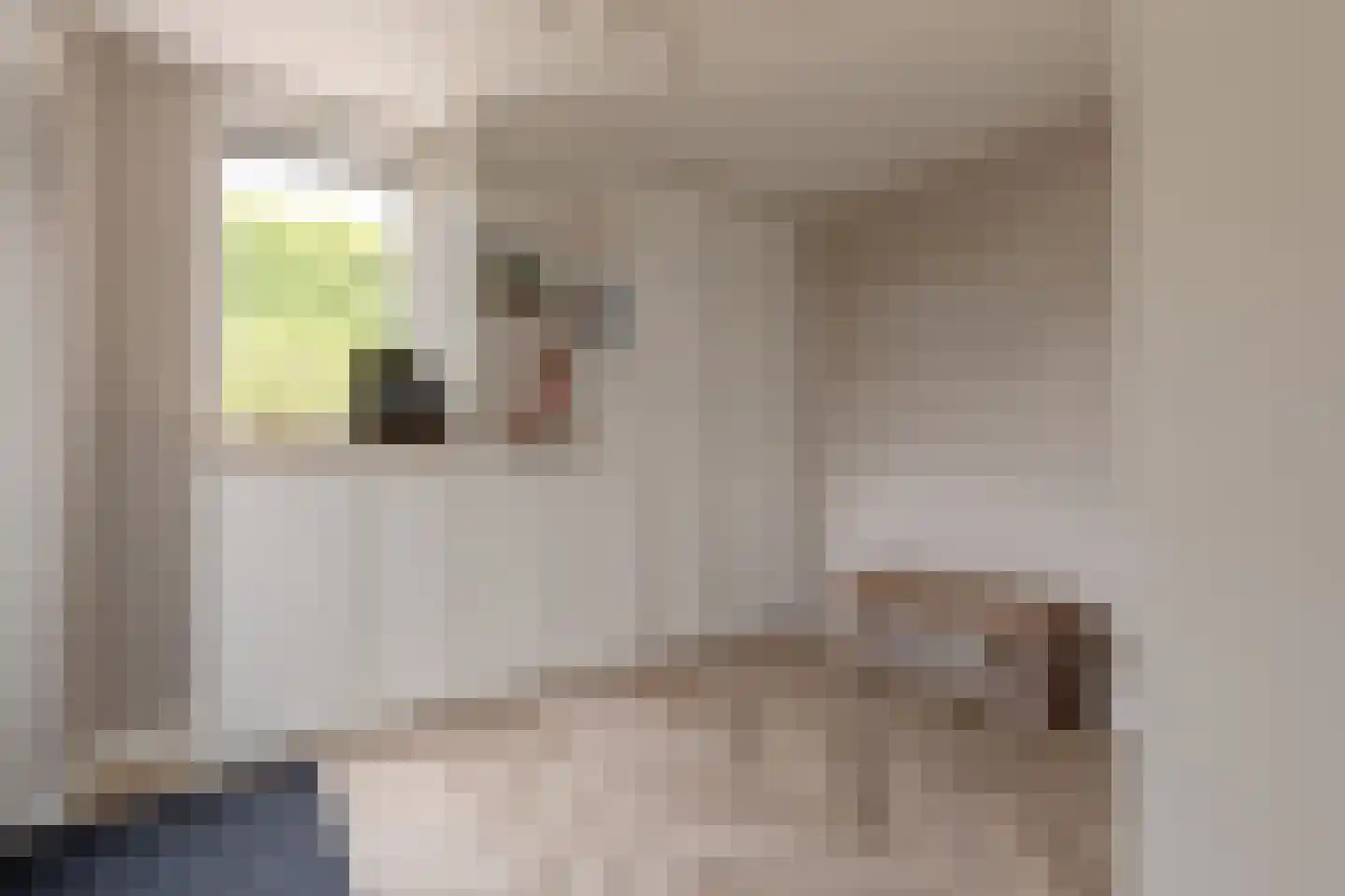 Bunzinghage 47 Berlicum thumbnail 19