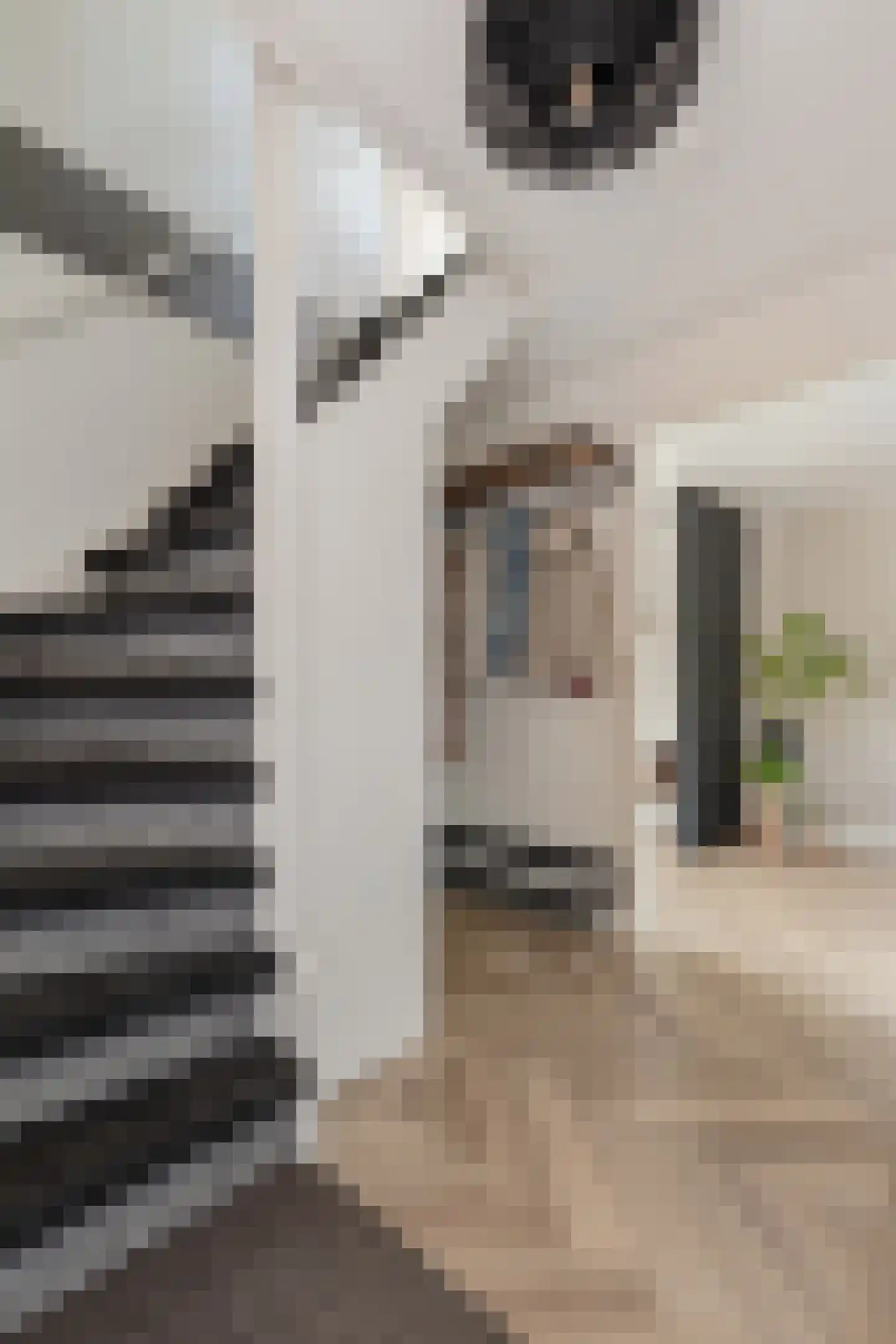 Bunzinghage 47 Berlicum thumbnail 20
