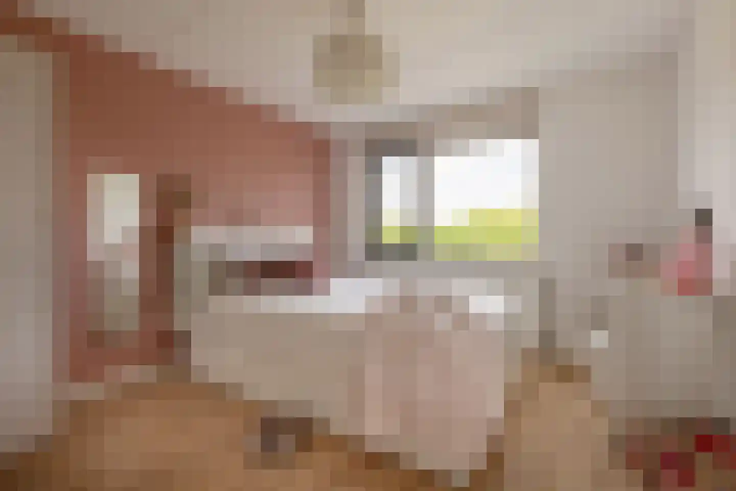Bunzinghage 47 Berlicum thumbnail 22