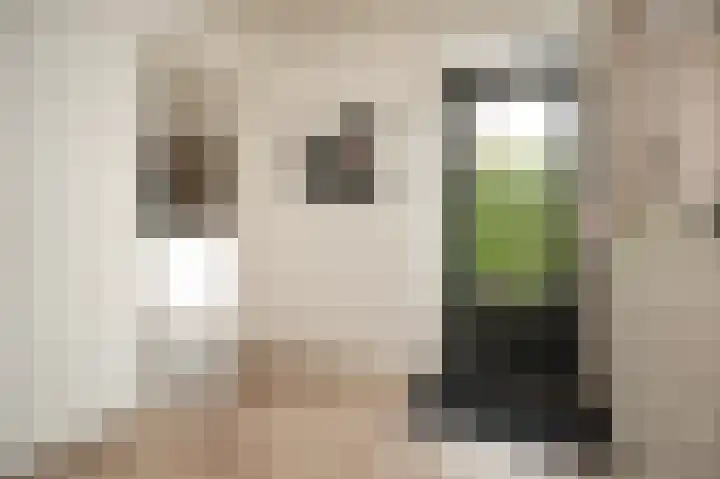 Bunzinghage 47 Berlicum thumbnail 22