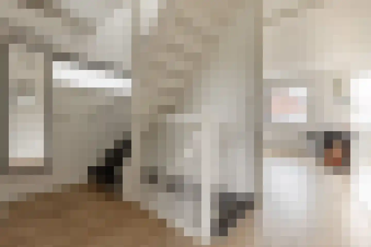 Bunzinghage 47 Berlicum thumbnail 35