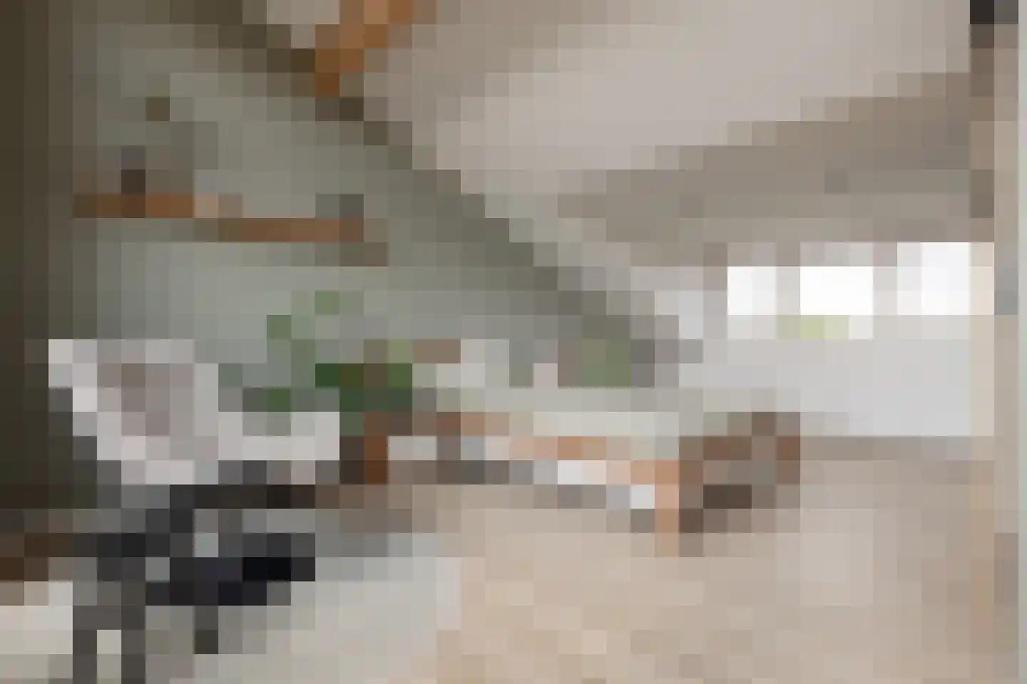 Bunzinghage 47 Berlicum thumbnail 36