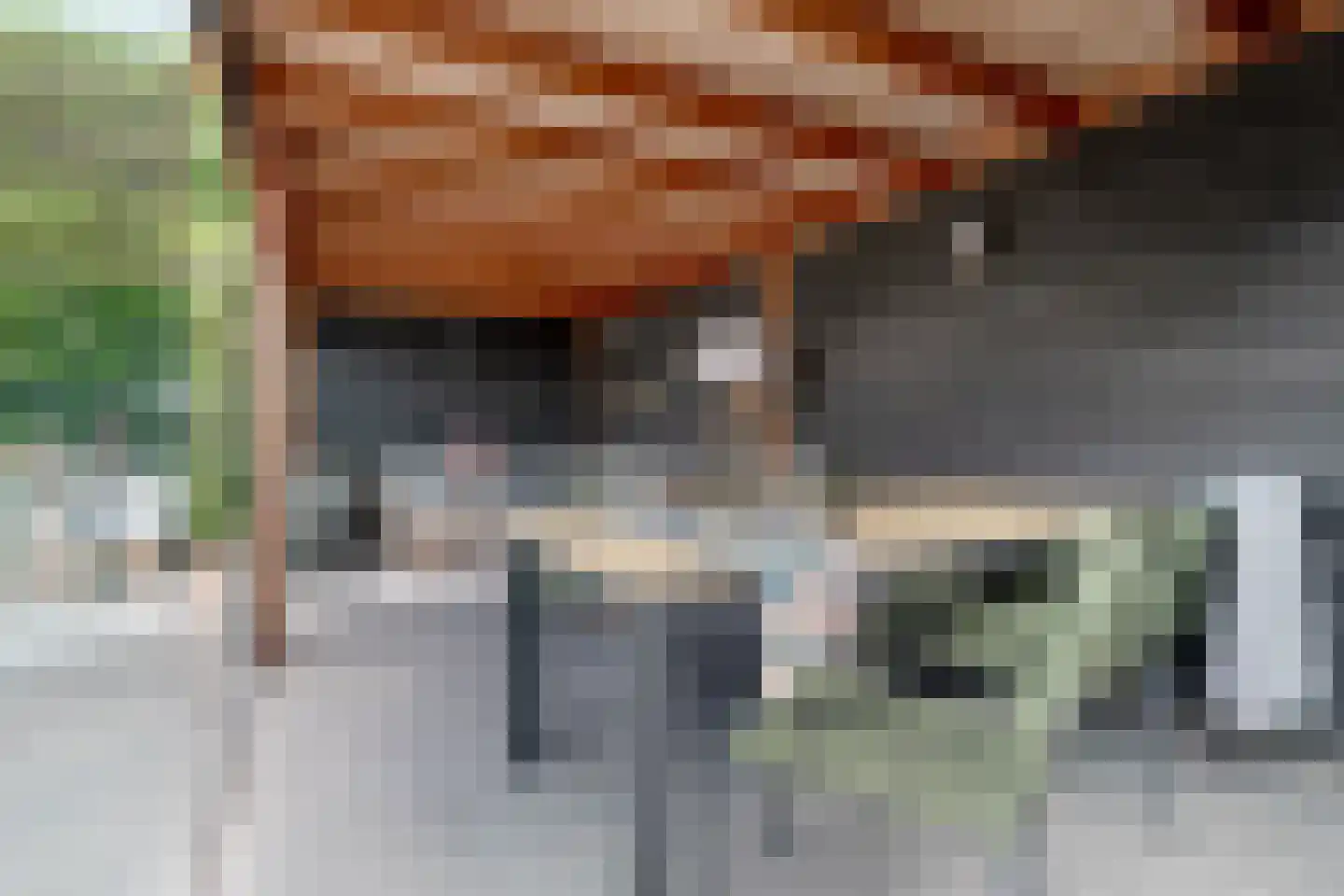Bunzinghage 47 Berlicum thumbnail 49