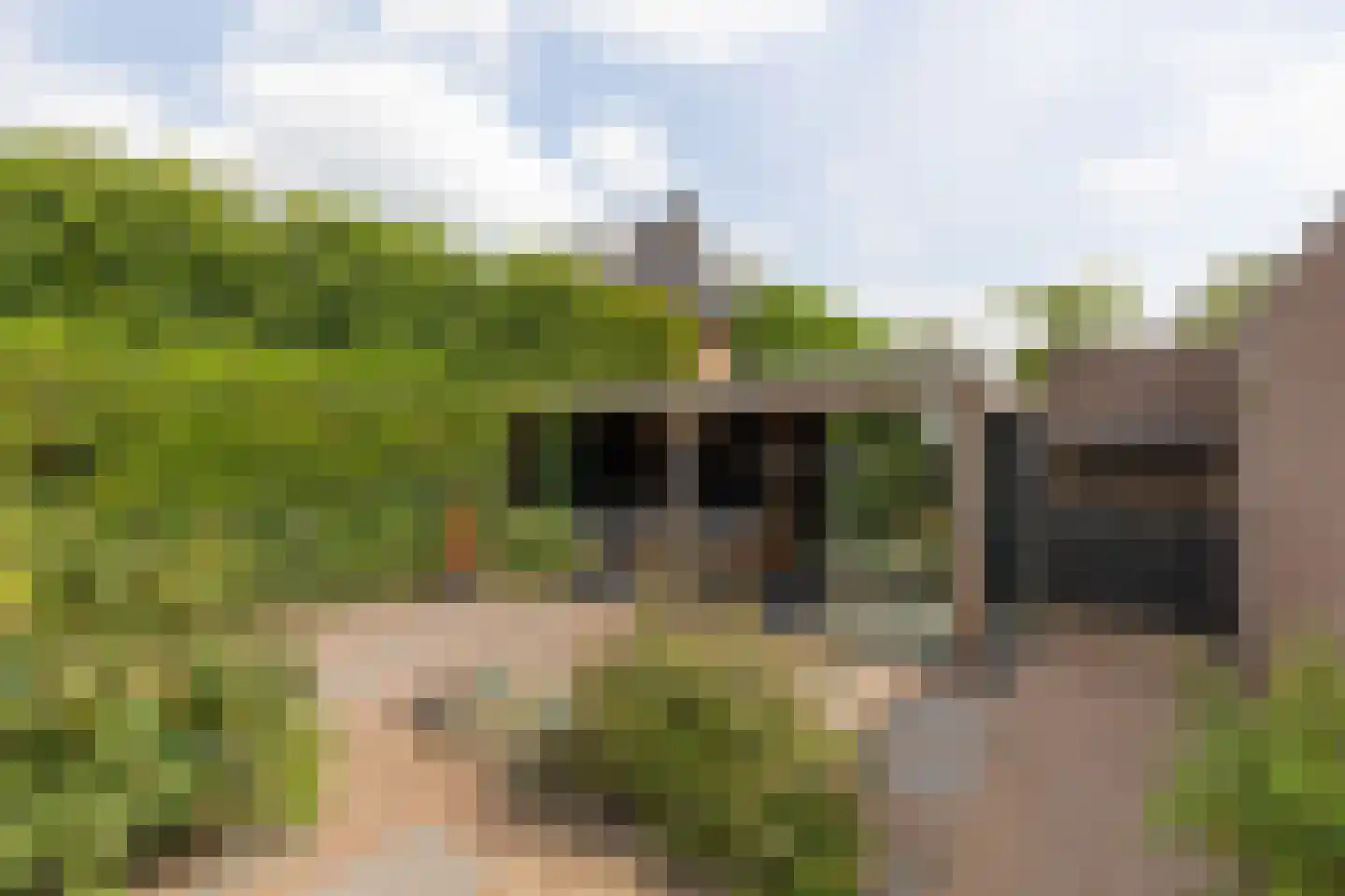 Bunzinghage 47 Berlicum thumbnail 5