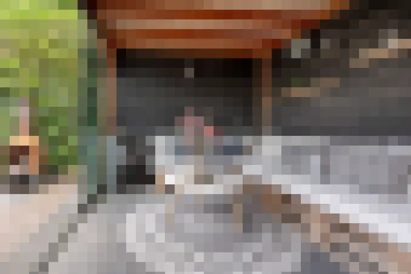 Bunzinghage 47 Berlicum thumbnail 50