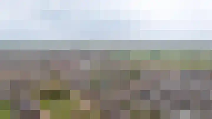 Bunzinghage 47 Berlicum thumbnail 51