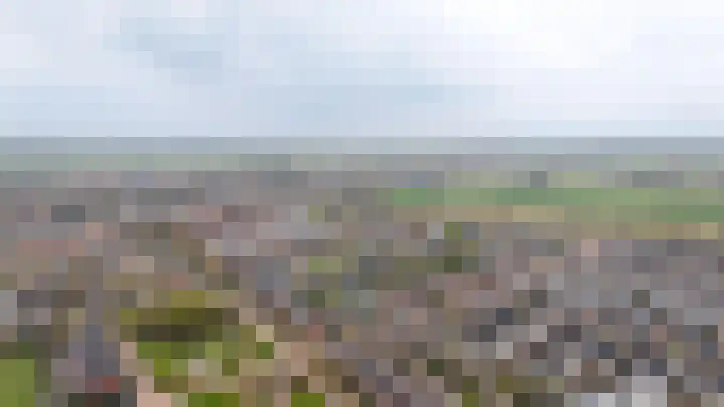 Bunzinghage 47 Berlicum thumbnail 61