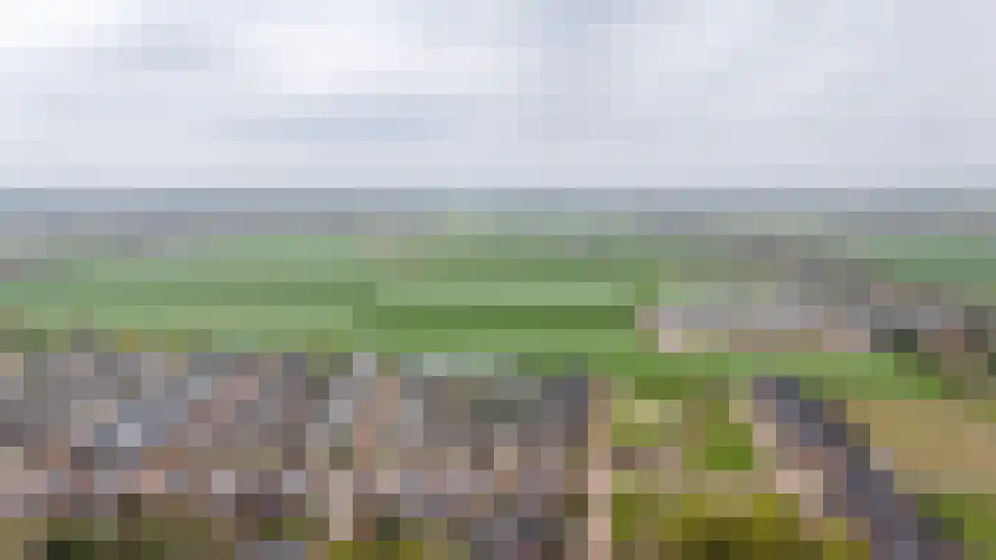 Bunzinghage 47 Berlicum thumbnail 62