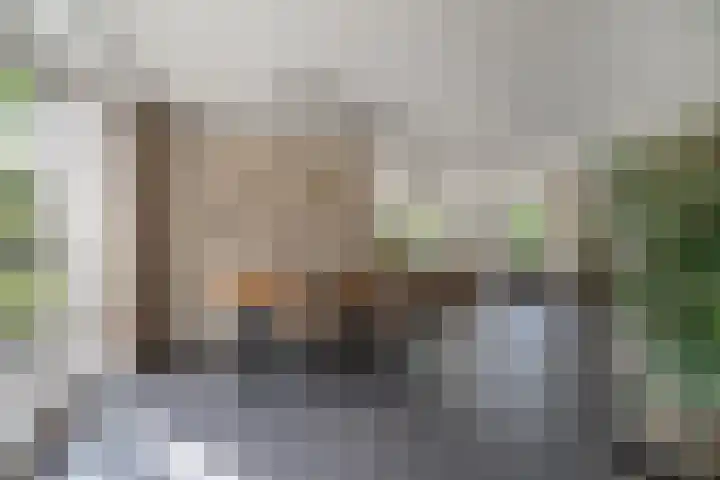 Bunzinghage 49 Berlicum thumbnail 10