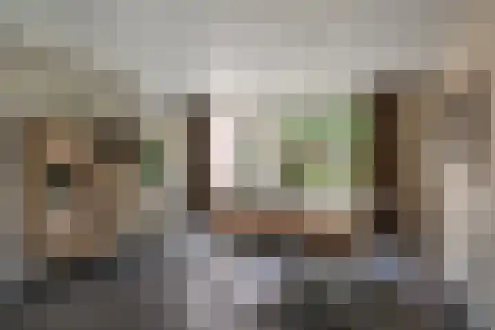 Bunzinghage 49 Berlicum thumbnail 11