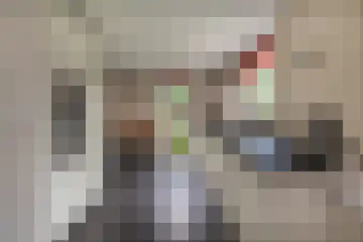 Bunzinghage 49 Berlicum thumbnail 13