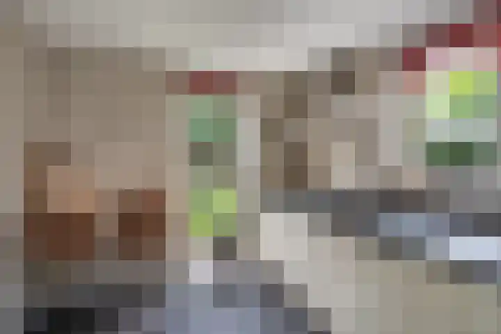 Bunzinghage 49 Berlicum thumbnail 14
