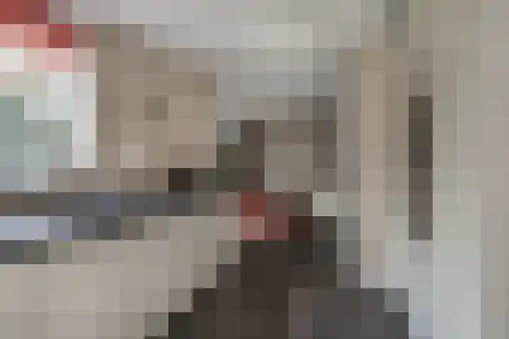 Bunzinghage 49 Berlicum thumbnail 15