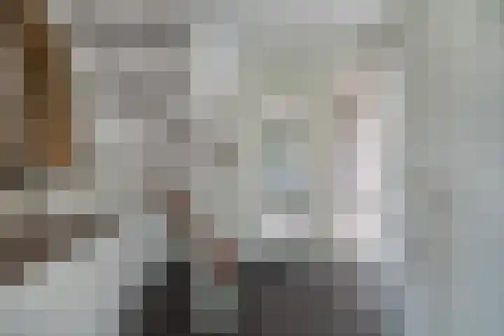 Bunzinghage 49 Berlicum thumbnail 17