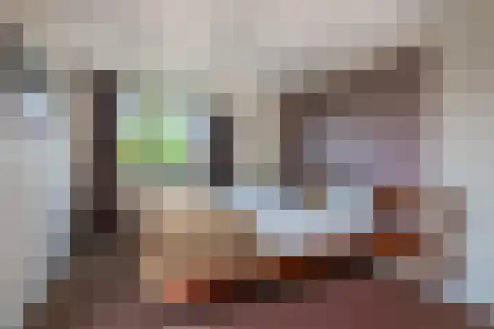 Bunzinghage 49 Berlicum thumbnail 18