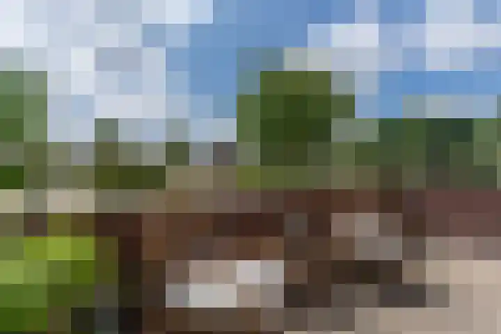 Bunzinghage 49 Berlicum thumbnail 20