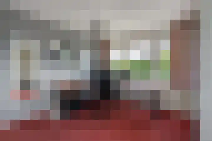 Bunzinghage 49 Berlicum thumbnail 21