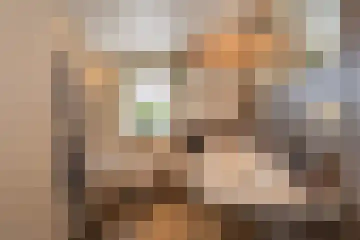 Bunzinghage 49 Berlicum thumbnail 24