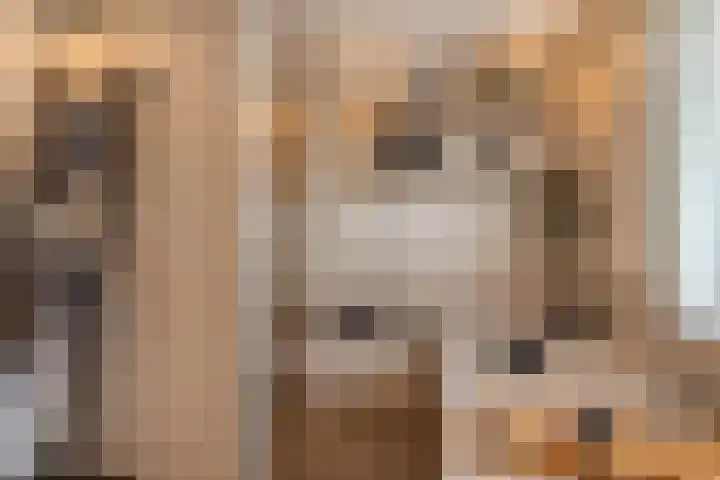 Bunzinghage 49 Berlicum thumbnail 25