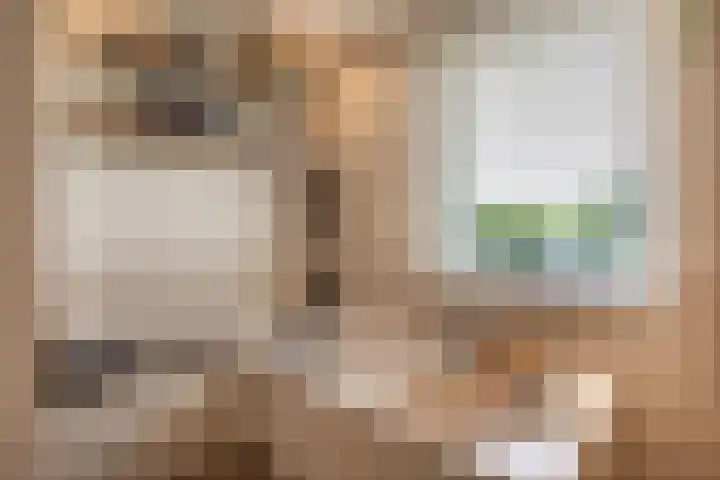 Bunzinghage 49 Berlicum thumbnail 26