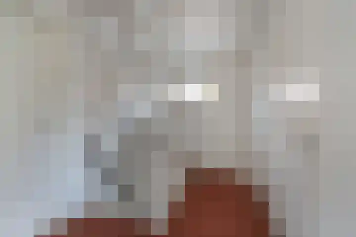 Bunzinghage 49 Berlicum thumbnail 27