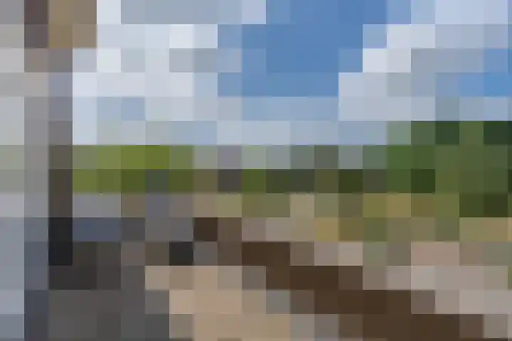 Bunzinghage 49 Berlicum thumbnail 31