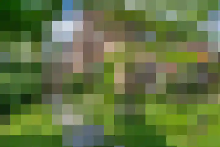 Bunzinghage 49 Berlicum thumbnail 32