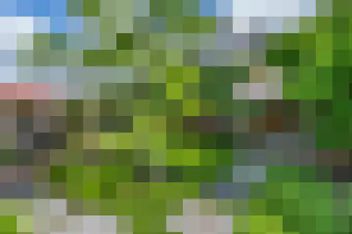 Bunzinghage 49 Berlicum thumbnail 33