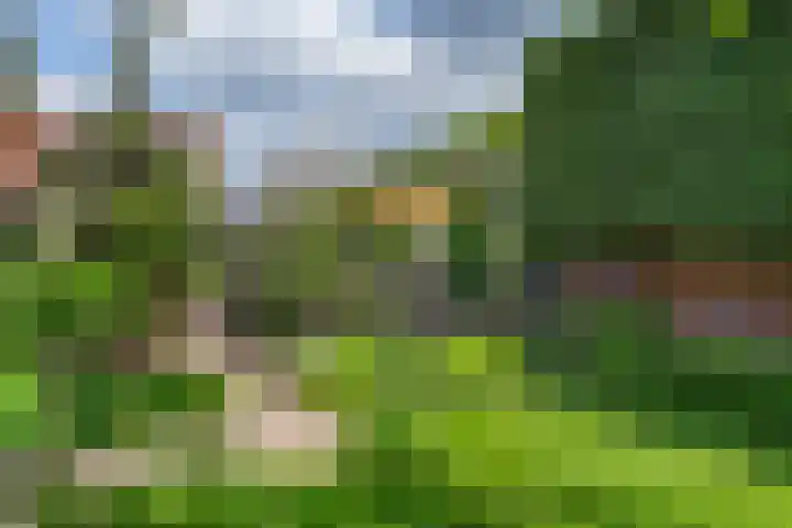 Bunzinghage 49 Berlicum thumbnail 34