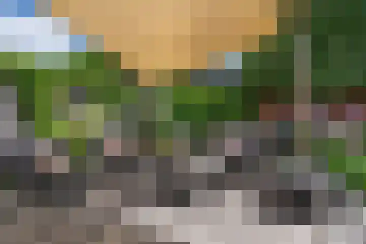 Bunzinghage 49 Berlicum thumbnail 35