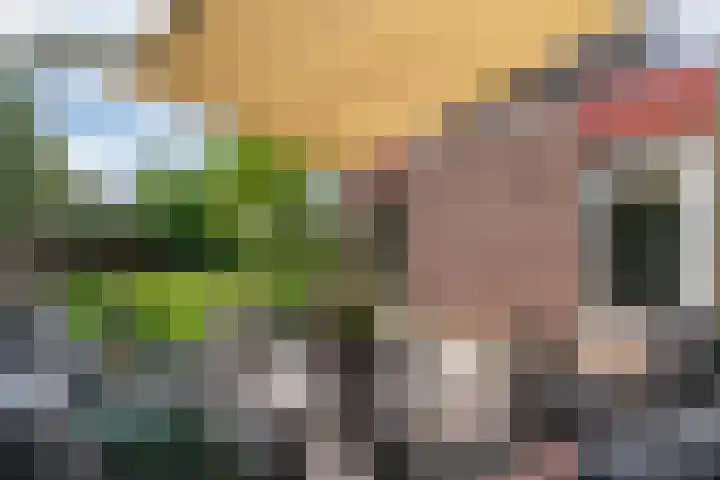 Bunzinghage 49 Berlicum thumbnail 36