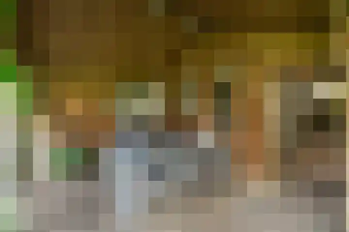 Bunzinghage 49 Berlicum thumbnail 38