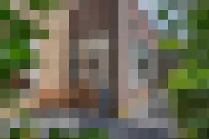 Bunzinghage 49 Berlicum thumbnail 39