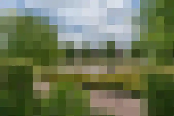 Bunzinghage 49 Berlicum thumbnail 40